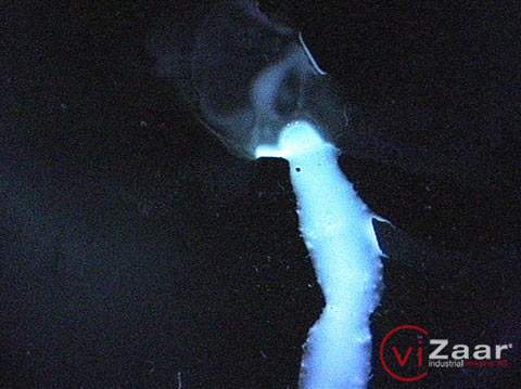 工業(yè)內(nèi)窺鏡，內(nèi)窺鏡，管道內(nèi)窺鏡，視頻內(nèi)窺鏡