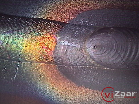 工業(yè)內(nèi)窺鏡，內(nèi)窺鏡，管道內(nèi)窺鏡，視頻內(nèi)窺鏡